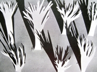 Behance Randi Antonsen Paper Cut Trees